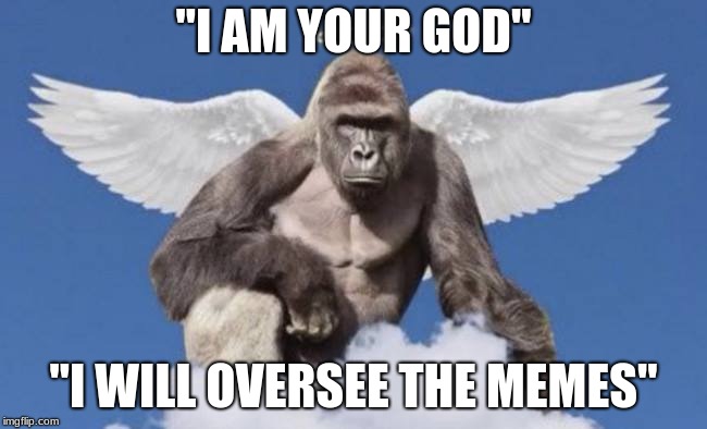 Harambe | "I AM YOUR GOD" "I WILL OVERSEE THE MEMES" | image tagged in harambe | made w/ Imgflip meme maker