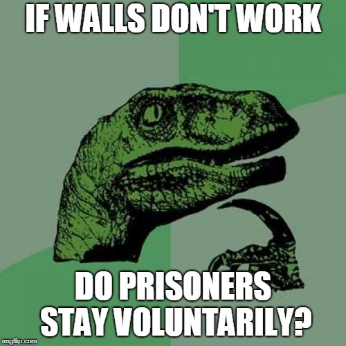 Philosoraptor | IF WALLS DON'T WORK; DO PRISONERS STAY VOLUNTARILY? | image tagged in memes,philosoraptor | made w/ Imgflip meme maker