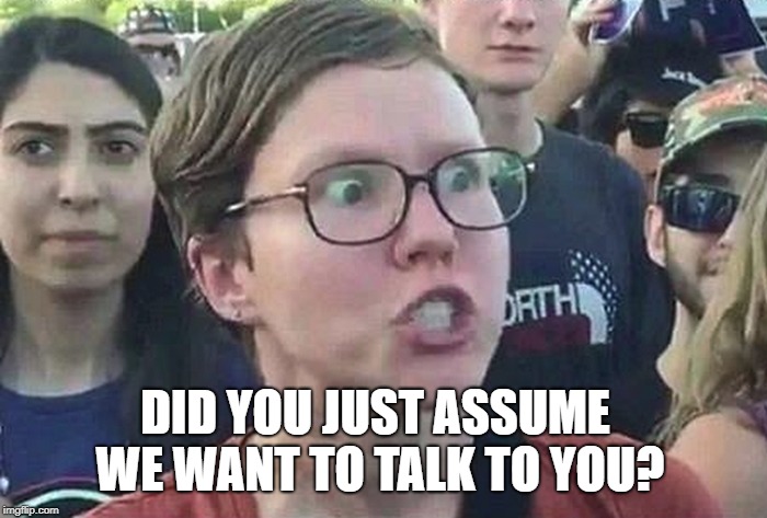 Triggered Liberal | DID YOU JUST ASSUME WE WANT TO TALK TO YOU? | image tagged in triggered liberal | made w/ Imgflip meme maker