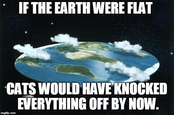 Flat Earth | IF THE EARTH WERE FLAT CATS WOULD HAVE KNOCKED EVERYTHING OFF BY NOW. | image tagged in flat earth | made w/ Imgflip meme maker