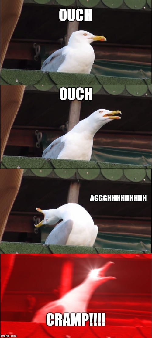 Inhaling Seagull | OUCH; OUCH; AGGGHHHHHHHHH; CRAMP!!!! | image tagged in memes,inhaling seagull | made w/ Imgflip meme maker