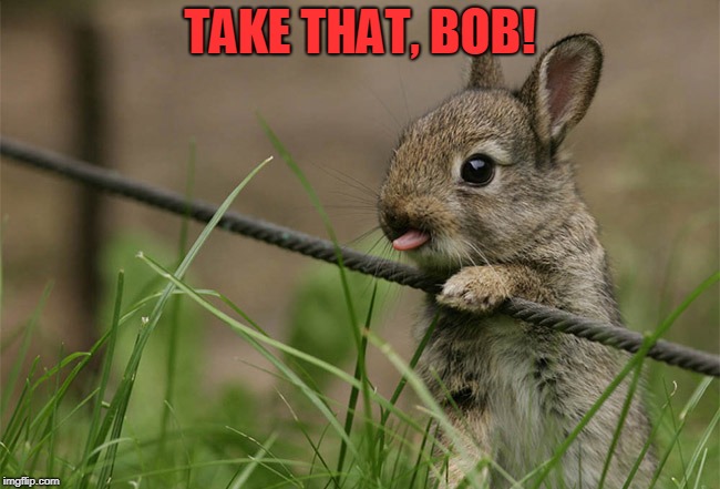 cute bunny | TAKE THAT, BOB! | image tagged in cute bunny | made w/ Imgflip meme maker