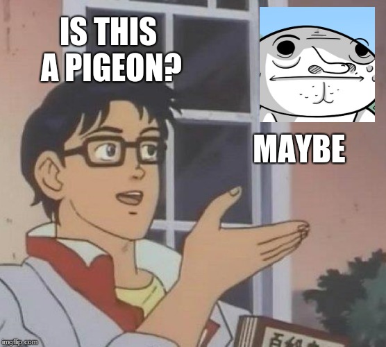 The classic Theodd1sout "Maybe" | IS THIS A PIGEON? MAYBE | image tagged in memes,is this a pigeon | made w/ Imgflip meme maker