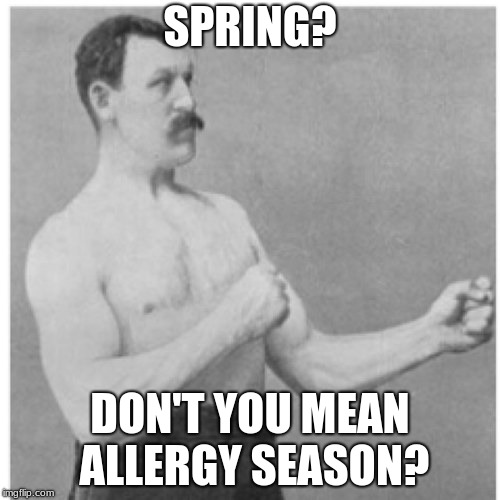 Overly Manly Man Meme | SPRING? DON'T YOU MEAN ALLERGY SEASON? | image tagged in memes,overly manly man | made w/ Imgflip meme maker