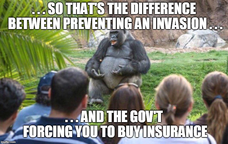 Gorilla lecture | . . . SO THAT'S THE DIFFERENCE BETWEEN PREVENTING AN INVASION . . . . . . AND THE GOV'T FORCING YOU TO BUY INSURANCE | image tagged in gorilla lecture | made w/ Imgflip meme maker