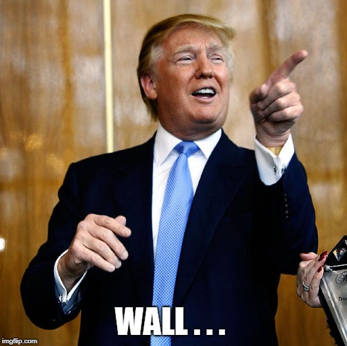 Donal Trump Birthday | WALL . . . | image tagged in donal trump birthday | made w/ Imgflip meme maker