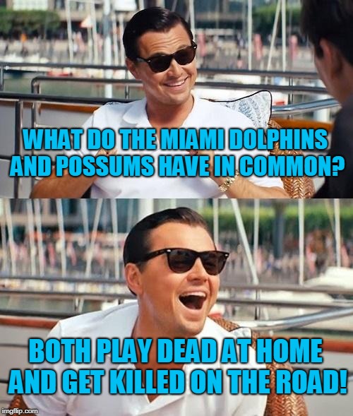 Leonardo Dicaprio Wolf Of Wall Street Meme | WHAT DO THE MIAMI DOLPHINS AND POSSUMS HAVE IN COMMON? BOTH PLAY DEAD AT HOME AND GET KILLED ON THE ROAD! | image tagged in memes,leonardo dicaprio wolf of wall street | made w/ Imgflip meme maker