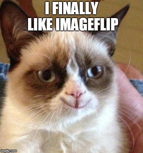 grumpy smile | I FINALLY LIKE IMAGEFLIP | image tagged in grumpy smile | made w/ Imgflip meme maker
