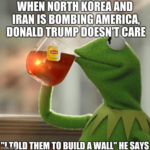 you said that was for Mexico!!!!! | WHEN NORTH KOREA AND IRAN IS BOMBING AMERICA, DONALD TRUMP DOESN'T CARE; "I TOLD THEM TO BUILD A WALL" HE SAYS | image tagged in memes,but thats none of my business,kermit the frog | made w/ Imgflip meme maker