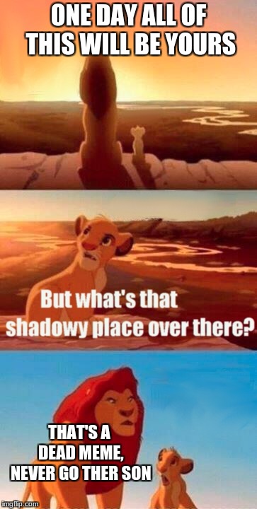 Simba Shadowy Place Meme | ONE DAY ALL OF THIS WILL BE YOURS; THAT'S A DEAD MEME, NEVER GO THER SON | image tagged in memes,simba shadowy place | made w/ Imgflip meme maker