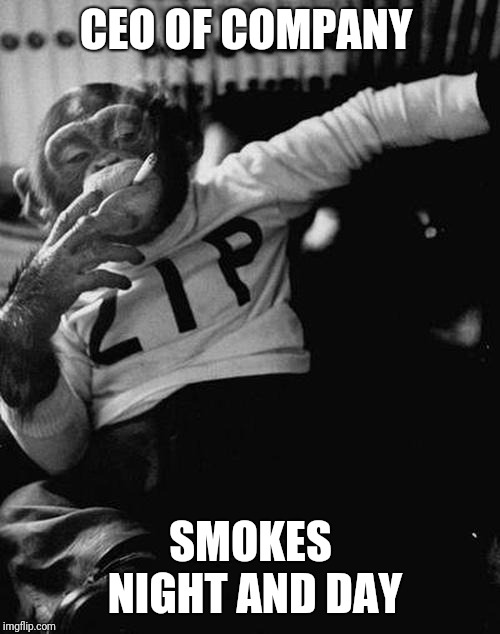 smoking monkey  | CEO OF COMPANY SMOKES NIGHT AND DAY | image tagged in smoking monkey | made w/ Imgflip meme maker