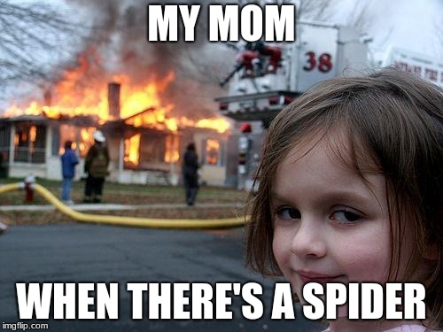 WHY MOM!!!!! | MY MOM; WHEN THERE'S A SPIDER | image tagged in memes,disaster girl | made w/ Imgflip meme maker