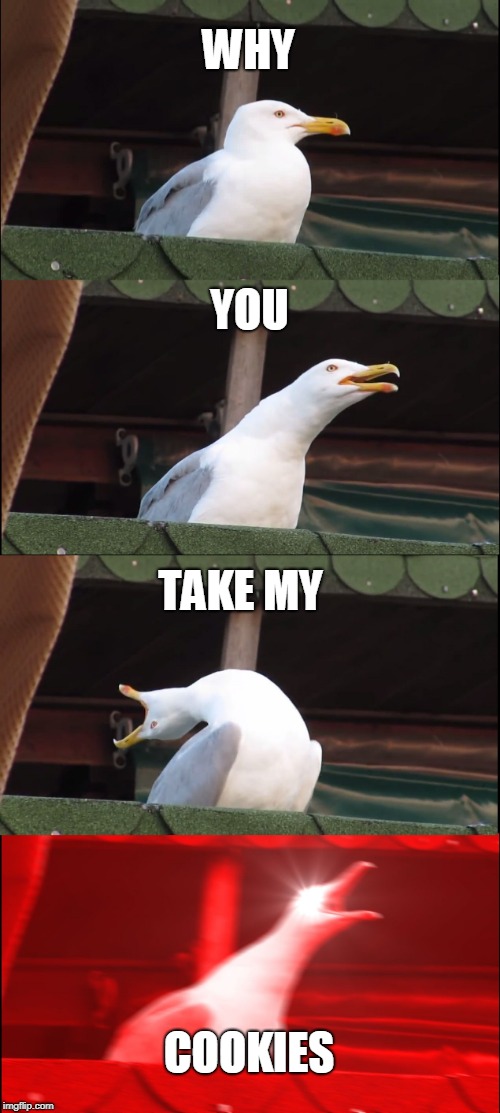 Inhaling Seagull | WHY; YOU; TAKE MY; COOKIES | image tagged in memes,inhaling seagull | made w/ Imgflip meme maker