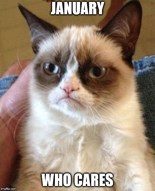 January who cares | JANUARY; WHO CARES | image tagged in memes,grumpy cat,cats,january,meme,funny cats | made w/ Imgflip meme maker