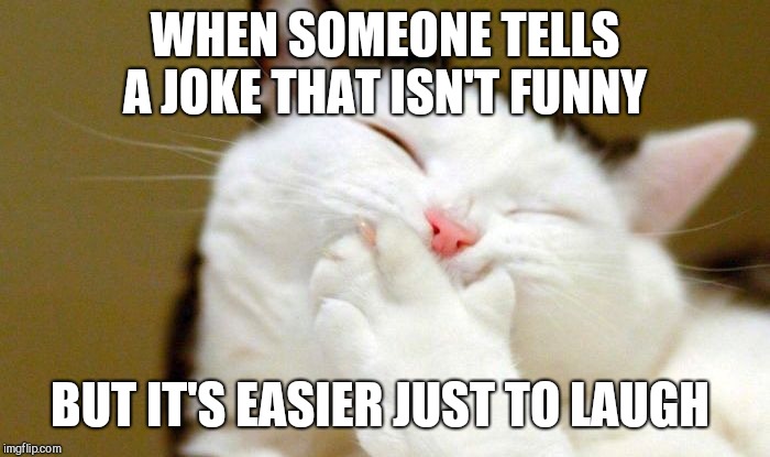 WHEN SOMEONE TELLS A JOKE THAT ISN'T FUNNY; BUT IT'S EASIER JUST TO LAUGH | image tagged in tee hee,giggling cat | made w/ Imgflip meme maker
