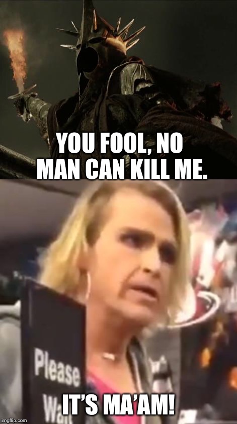 YOU FOOL, NO MAN CAN KILL ME. IT’S MA’AM! | image tagged in witch king nazgul | made w/ Imgflip meme maker