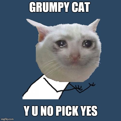 Crying Cat Y U No | GRUMPY CAT Y U NO PICK YES | image tagged in crying cat y u no | made w/ Imgflip meme maker