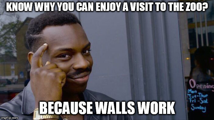 Roll Safe Think About It | KNOW WHY YOU CAN ENJOY A VISIT TO THE ZOO? BECAUSE WALLS WORK | image tagged in memes,roll safe think about it | made w/ Imgflip meme maker
