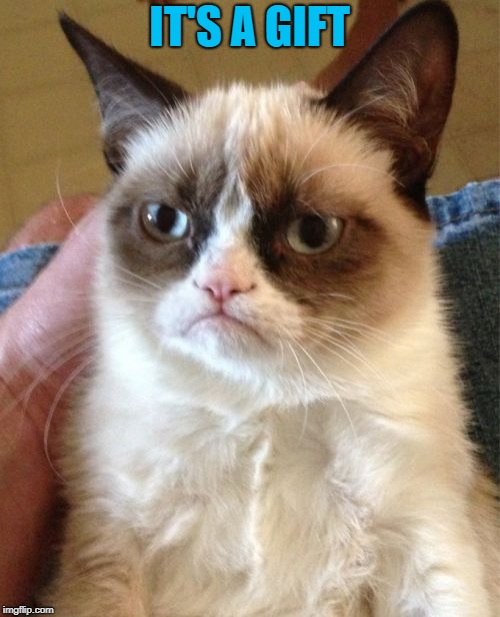 Grumpy Cat Meme | IT'S A GIFT | image tagged in memes,grumpy cat | made w/ Imgflip meme maker
