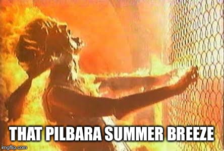 Terminator Fence | THAT PILBARA SUMMER BREEZE | image tagged in terminator fence | made w/ Imgflip meme maker