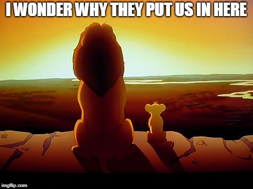 Lion King Meme | I WONDER WHY THEY PUT US IN HERE | image tagged in memes,lion king | made w/ Imgflip meme maker