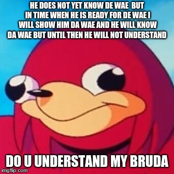 Ugandan Knuckles | HE DOES NOT YET KNOW DE WAE  BUT IN TIME WHEN HE IS READY FOR DE WAE I WILL SHOW HIM DA WAE AND HE WILL KNOW DA WAE BUT UNTIL THEN HE WILL NOT UNDERSTAND; DO U UNDERSTAND MY BRUDA | image tagged in ugandan knuckles | made w/ Imgflip meme maker