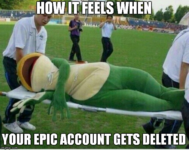 Injured frog | HOW IT FEELS WHEN; YOUR EPIC ACCOUNT GETS DELETED | image tagged in injured frog | made w/ Imgflip meme maker