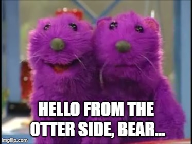 Pip and Pop | HELLO FROM THE OTTER SIDE, BEAR... | image tagged in pip and pop | made w/ Imgflip meme maker