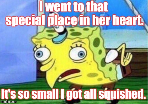 Mocking Spongebob Meme | I went to that special place in her heart. It's so small I got all squished. | image tagged in memes,mocking spongebob | made w/ Imgflip meme maker
