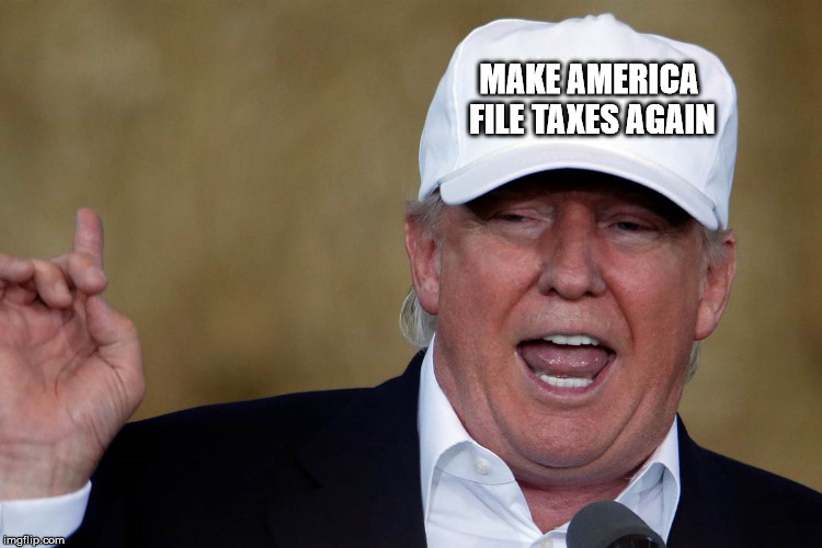 Donald Trump Blank MAGA Hat | MAKE AMERICA FILE TAXES AGAIN | image tagged in donald trump blank maga hat,maga,government shutdown | made w/ Imgflip meme maker