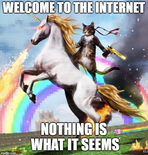 Welcome To The Internets Meme | WELCOME TO THE INTERNET NOTHING IS WHAT IT SEEMS | image tagged in memes,welcome to the internets | made w/ Imgflip meme maker