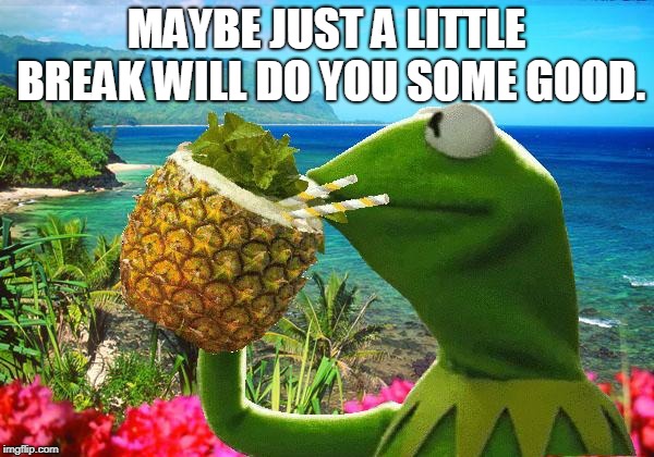 vacation kermit | MAYBE JUST A LITTLE BREAK WILL DO YOU SOME GOOD. | image tagged in vacation kermit | made w/ Imgflip meme maker
