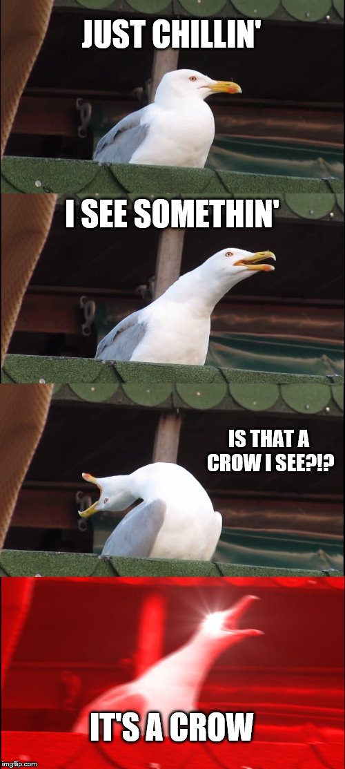 Inhaling Seagull | JUST CHILLIN'; I SEE SOMETHIN'; IS THAT A CROW I SEE?!? IT'S A CROW | image tagged in memes,inhaling seagull | made w/ Imgflip meme maker