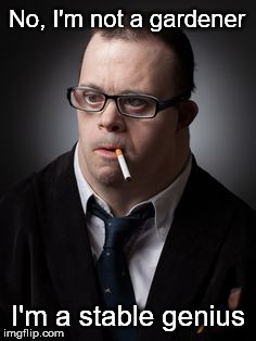 No, I'm not a gardener I'm a stable genius | made w/ Imgflip meme maker