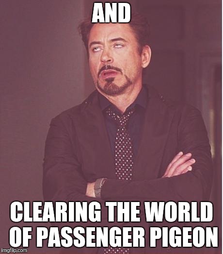 Face You Make Robert Downey Jr Meme | AND CLEARING THE WORLD OF PASSENGER PIGEON | image tagged in memes,face you make robert downey jr | made w/ Imgflip meme maker