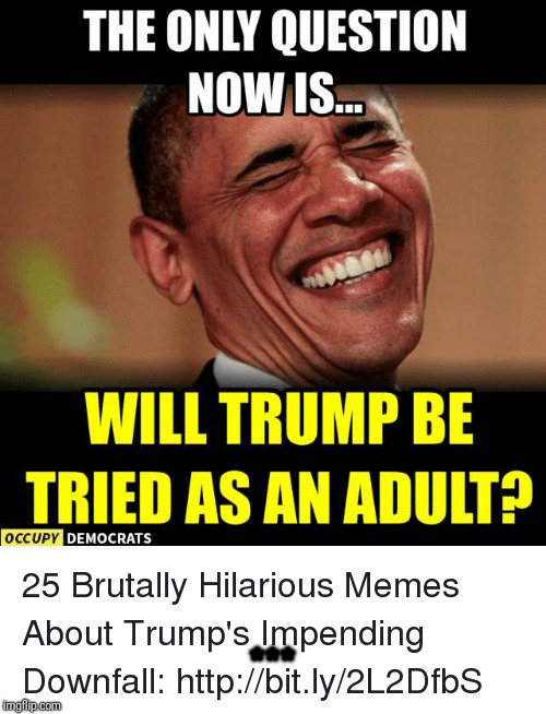 Memes | *** | image tagged in donald trump | made w/ Imgflip meme maker