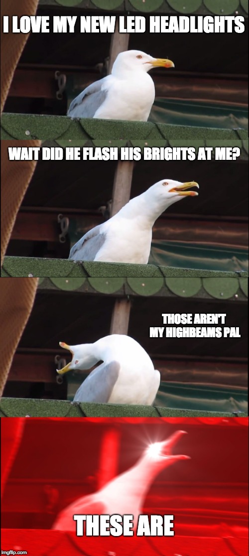 Inhaling Seagull | I LOVE MY NEW LED HEADLIGHTS; WAIT DID HE FLASH HIS BRIGHTS AT ME? THOSE AREN'T MY HIGHBEAMS PAL; THESE ARE | image tagged in memes,inhaling seagull | made w/ Imgflip meme maker