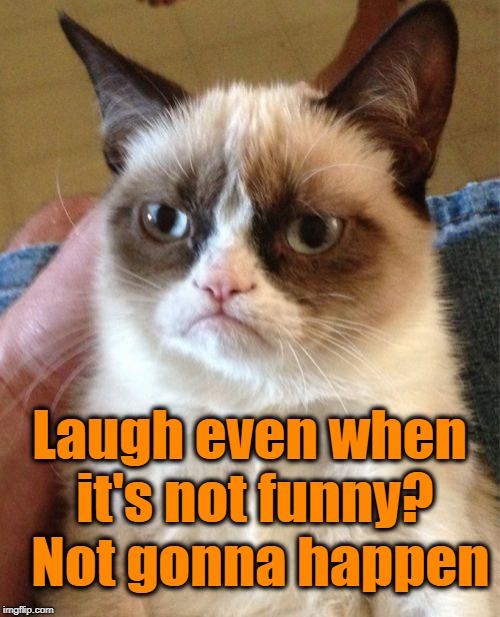 Grumpy Cat Meme | Laugh even when it's not funny?  Not gonna happen | image tagged in memes,grumpy cat | made w/ Imgflip meme maker