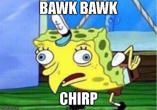Mocking Spongebob | BAWK BAWK; CHIRP | image tagged in memes,mocking spongebob | made w/ Imgflip meme maker