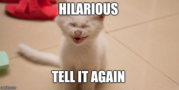 Cat Laughing | HILARIOUS TELL IT AGAIN | image tagged in cat laughing | made w/ Imgflip meme maker