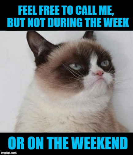 Don't ever call | FEEL FREE TO CALL ME,  BUT NOT DURING THE WEEK; OR ON THE WEEKEND | image tagged in funny memes,cat,grumpy cat,phone,annoying people calling | made w/ Imgflip meme maker