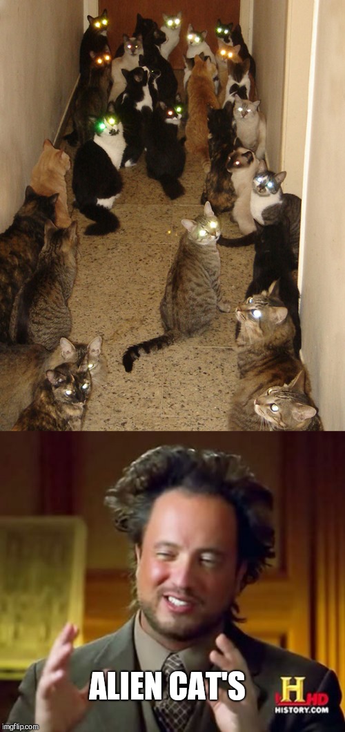 ALIEN CAT'S | image tagged in memes,ancient aliens | made w/ Imgflip meme maker