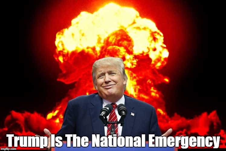 "Trump IS The National Emergency" | Trump Is The National Emergency | image tagged in trump,deplorable donald,despicable donald,devious donald,deceitful donald,dishonorable donald | made w/ Imgflip meme maker