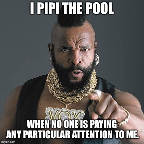 Mr T Pity The Fool | I PIPI THE POOL; WHEN NO ONE IS PAYING ANY PARTICULAR ATTENTION TO ME. | image tagged in memes,mr t pity the fool | made w/ Imgflip meme maker