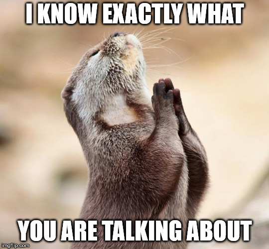 animal praying | I KNOW EXACTLY WHAT YOU ARE TALKING ABOUT | image tagged in animal praying | made w/ Imgflip meme maker