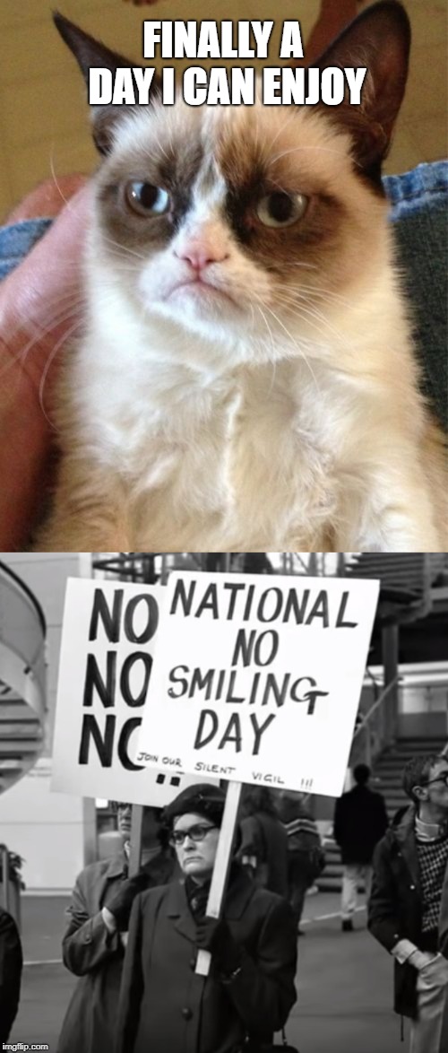 Just a normal day at the office... | FINALLY A DAY I CAN ENJOY | image tagged in memes,grumpy cat,smile,sad | made w/ Imgflip meme maker