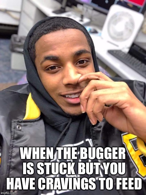 WHEN THE BUGGER IS STUCK BUT YOU HAVE CRAVINGS TO FEED | made w/ Imgflip meme maker