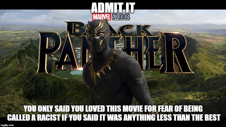 black panther | ADMIT IT; YOU ONLY SAID YOU LOVED THIS MOVIE FOR FEAR OF BEING CALLED A RACIST IF YOU SAID IT WAS ANYTHING LESS THAN THE BEST | image tagged in black panther | made w/ Imgflip meme maker