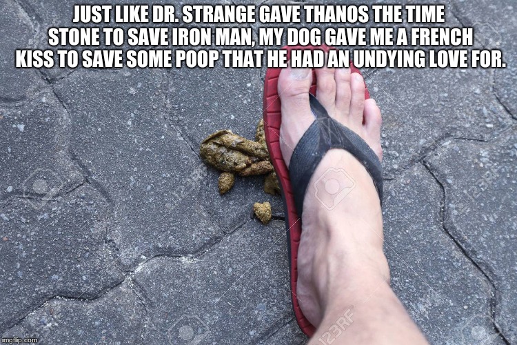 JUST LIKE DR. STRANGE GAVE THANOS THE TIME STONE TO SAVE IRON MAN, MY DOG GAVE ME A FRENCH KISS TO SAVE SOME POOP THAT HE HAD AN UNDYING LOVE FOR. | image tagged in dogs | made w/ Imgflip meme maker