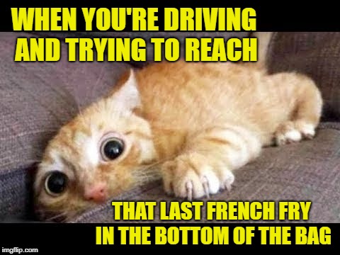 Eyes on the road, almost there... | WHEN YOU'RE DRIVING AND TRYING TO REACH; THAT LAST FRENCH FRY IN THE BOTTOM OF THE BAG | image tagged in memes,cats,french fries,eating and driving,funny,distracted | made w/ Imgflip meme maker